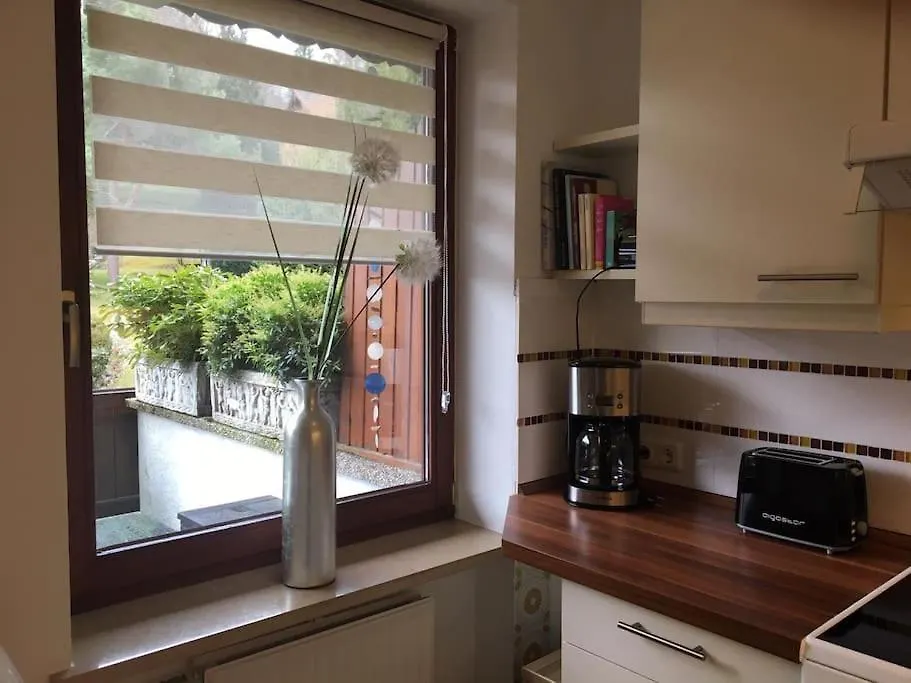 Apartment Wohnung Direkt Am Tegernsee Mit Xl-Terrasse Gmund am Tegernsee Germany